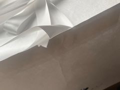 -BLACKSWAN黑天鹅(环球店)