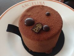 Choc&nbsp;Africain-Angelina(IFC)