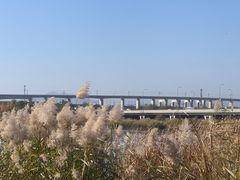 -绿堤公园