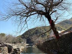 -鹿亭中村