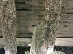 -小厨娘淮扬菜(六合欢乐港店)