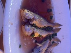 -舌尖上·霞浦滩涂海鲜·新闽菜(总店)