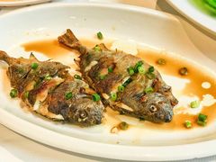 香煎泥鯭-强记海鲜·大排档(蛇口新街店)