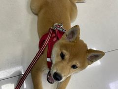 -福州肆爪动物医院