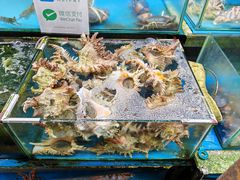 -拉威海鲜市场