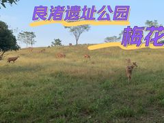 -良渚古城遗址公园