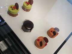 -BLACKSWAN黑天鹅(环球店)