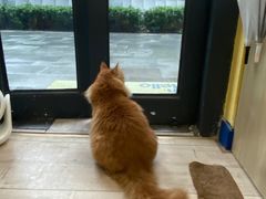 -吉派索自家烘焙咖啡馆(千佛山店)