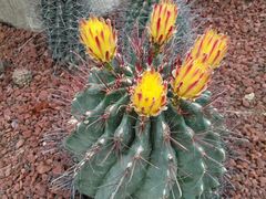 -南通洲际绿博园