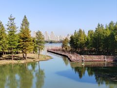 -虎丘湿地公园