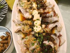 三味长江鮰鱼-金八仙酒店