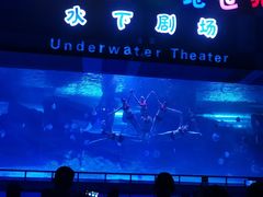 -泉城欧乐堡海洋极地世界