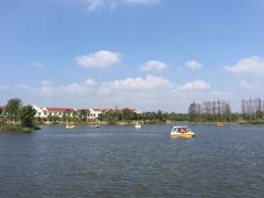 -上海长兴岛郊野公园