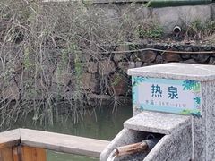 -咸宁万豪温泉谷度假区