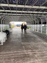 -小蜜蜂农场(凯德七宝购物广场店)