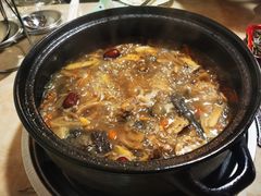 -蘑统田下·野生菌火锅