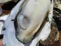 -土蚝·高压锅生蚝(百姓美食街店)