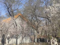-大乘寺