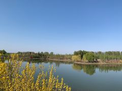 -东郊湿地公园
