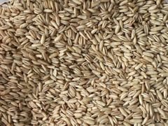 -牛一嘴·兰州牛肉面·大盘鸡(财富中心店)