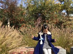 -济南国际园博园