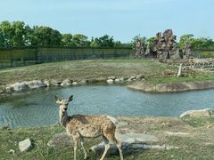 -上海野生动物园
