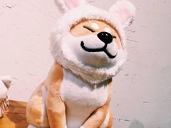 -柴务处·柴犬主题狗咖