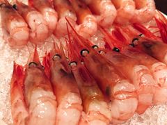 -佛山希尔顿酒店·融誉亚洲美食荟