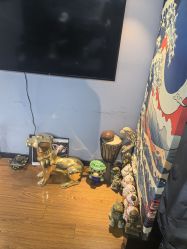 -新绣堂纹身·穿孔