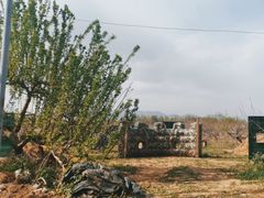 -亲兄弟真人CS团建拓展基地