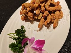 -唐猫庭院·千年陕菜(赛格国际购物中心店)