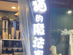 -猫的魔法密林(衣裳街店)