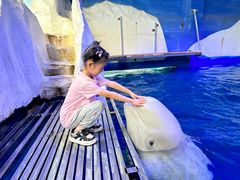 -秦皇岛乐岛海洋王国