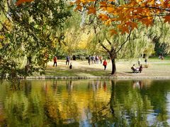 -上海共青森林公园