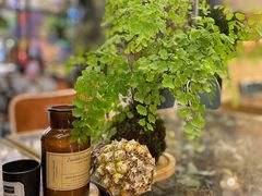 -PlantsEatery·植物食堂(REX春熙店)
