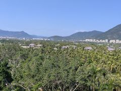 -三亚亚龙湾红树林度假酒店