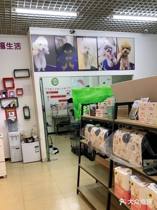 沐沐家宠物(成寿寺店)图片