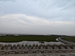 -南汇嘴观海公园