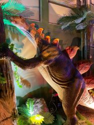 点击看大图 -恐龙探索乐园(磁器口店)