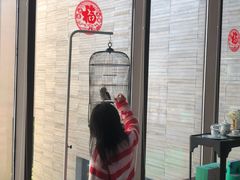-上海崇明金茂凯悦酒店
