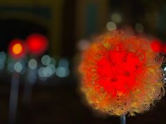 -歌斐颂巧克力小镇