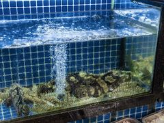 -碧海银沙海鲜餐厅(恒大海上威尼斯店)