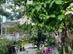 -花神·轻食简餐·咖啡馆·花卉绿植(荷兰花卉小镇店)