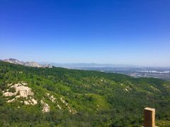 iphone_upload_pic-紫云台香草园