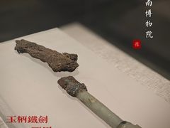 -河南博物院