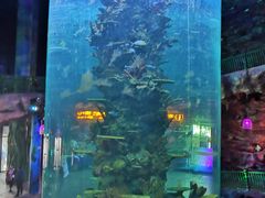 -青岛嘉年华主题乐园