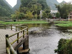 -靖西鹅泉风景区