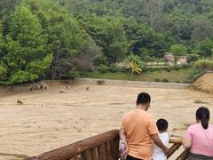 -泉州海丝野生动物世界