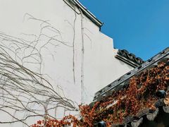 -鸣鹤古镇