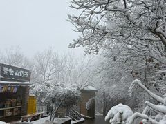 -紫金山山顶公园